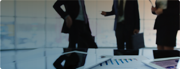 Empresas y Profesionales